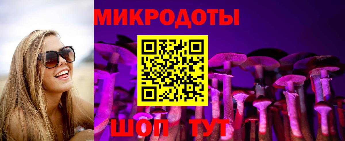 Бийск  Галлюциногенные грибы MAGIC MUSHROOMS  Вход с VPN  Галлюциногенные грибы GOLDEN TEACHER 