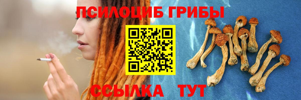 Псилоцибиновые грибы мицелий Бийск